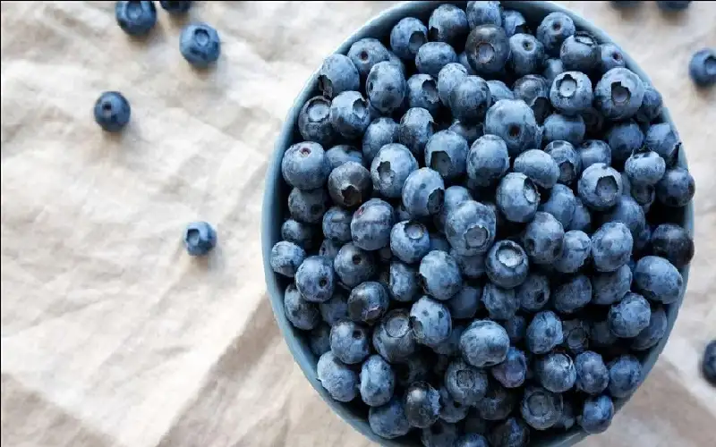 حفنة من التوت الأزرق تحمي القلب