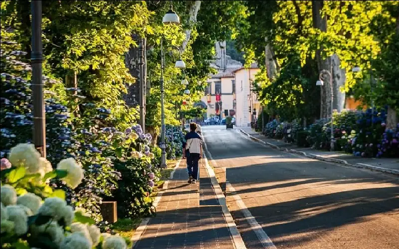 الصباح أم المساء؟.. التوقيت الأمثل للمشي