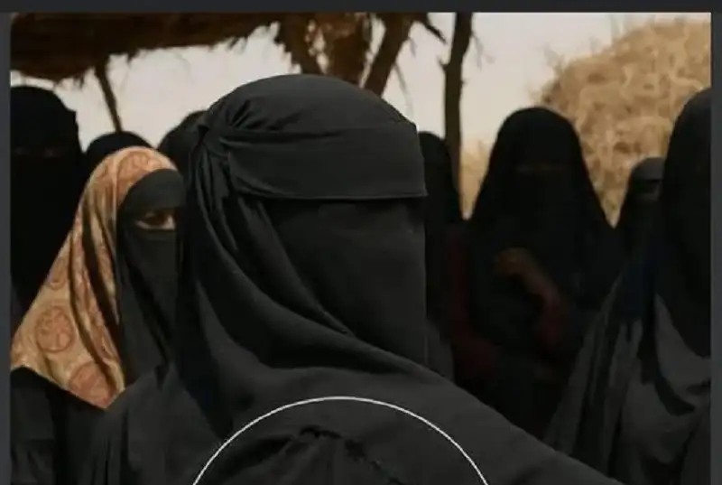 قصة المثل:＂تَجُوعُ الحُرَّةُ وَلاَ تَأكُلُ بِثَدْيَيْهَا.
