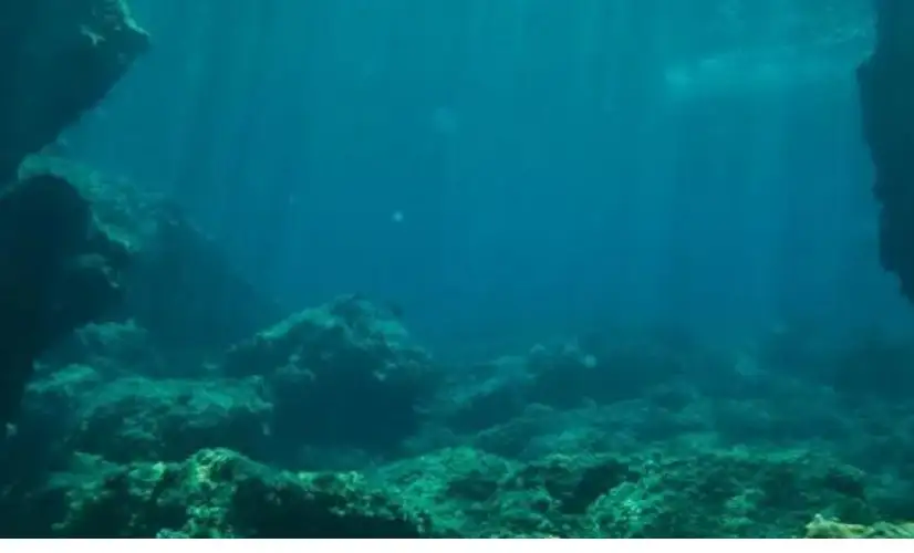 جمجمة مدفونة منذ 140 ألف عام