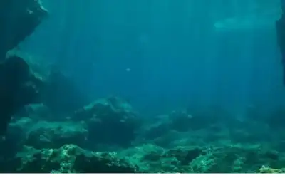 جمجمة مدفونة منذ 140 ألف عام