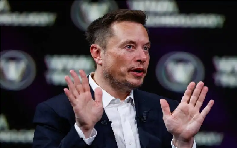 هكذا انهارت إمبراطورية إيلون ماسك.. غضب،