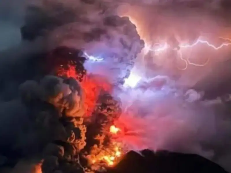 العلم يؤكد .. أوراق الشجر تتنبأ