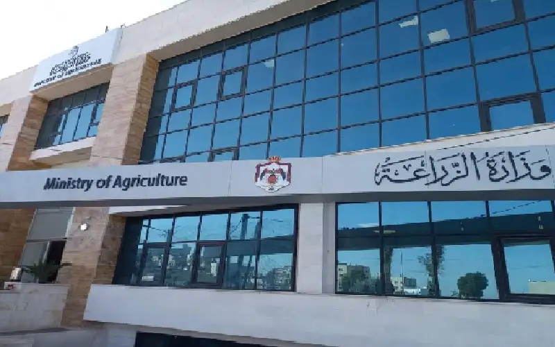 الحنيفات: 63% من غذائنا محلي