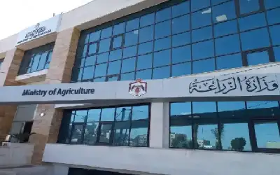 الحنيفات: 63% من غذائنا محلي