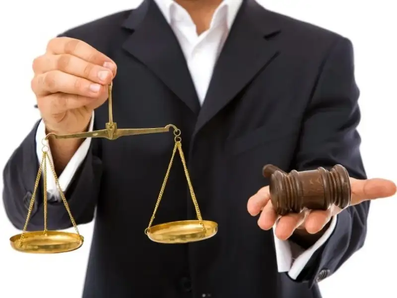 النتائج النهائية .. أسماء مجلس نقابة