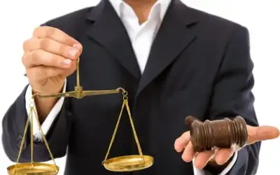 النتائج النهائية .. أسماء مجلس نقابة