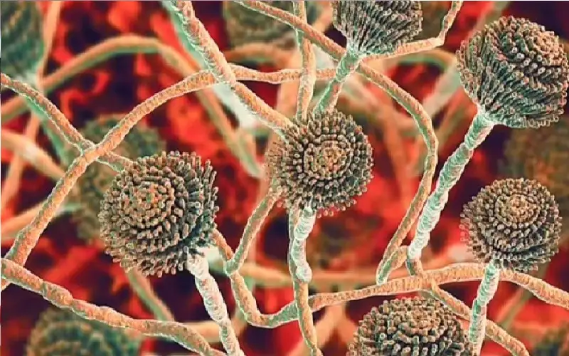 تهديد للبشرية.. تحذير مرعب من ارتفاع