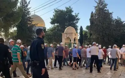 الأردن يدين اقتحام المستوطنين المسجد الأقصى