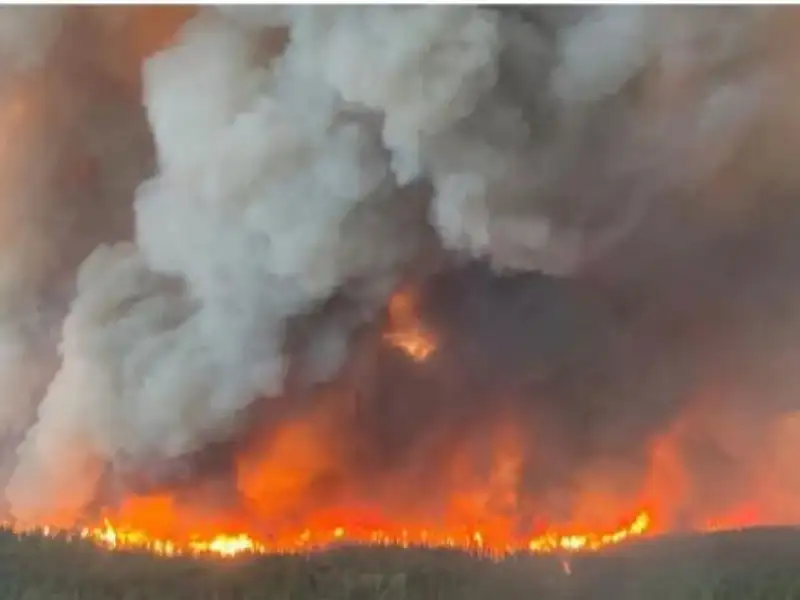 حرائق غابات تجبر آلاف الكنديين على