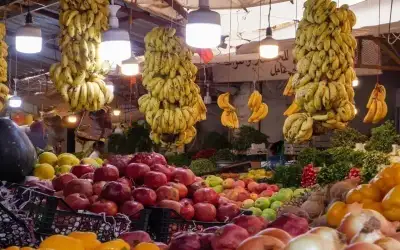 3301 طن من الخضار والفواكه ترد