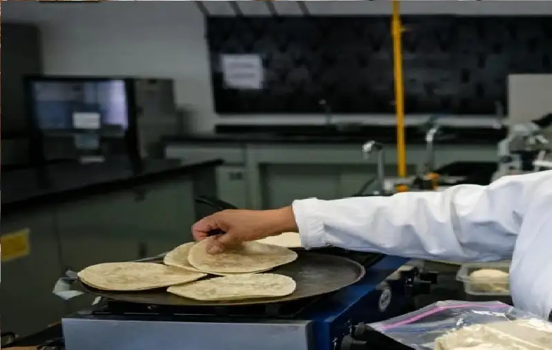 ابتكار نوع من خبز التورتيا في