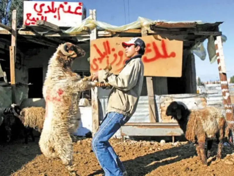 خطة رقابية لمؤسسة الغذاء والدواء خلال