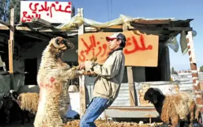 خطة رقابية لمؤسسة الغذاء والدواء خلال