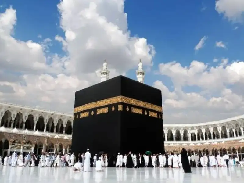 الحكومة: ضبط 12 حالة حج بدون