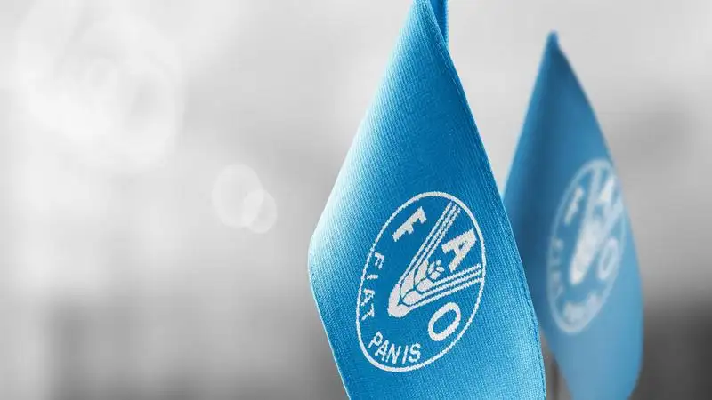 وزارة البيئة والفاو يبحثان تعزيز التعاون