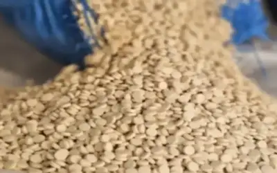 سورية تعلن ضبط جميع معامل إنتاج
