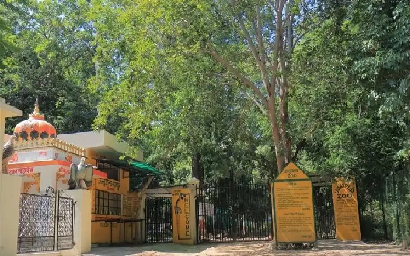 اقتحم قفصها.. نمور تهاجم رجلا حتى