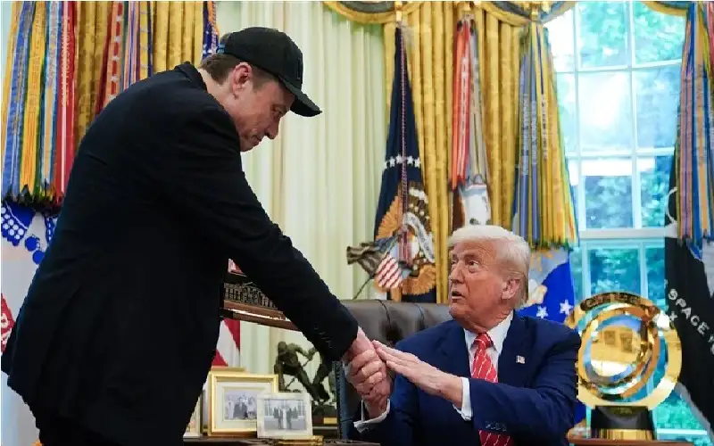 كم من الضرر يمكن أن يلحقه