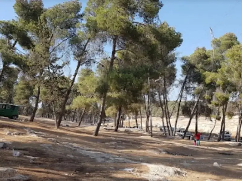 الأردن.. اعتداء على الكهرباء وفرض أرضية