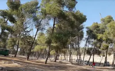 الأردن.. اعتداء على الكهرباء وفرض أرضية