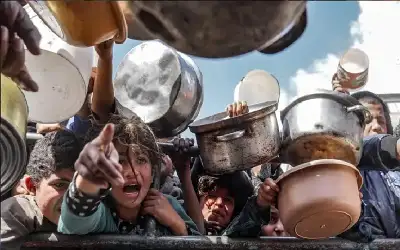 حبة بندورة.. . حلم جائع في