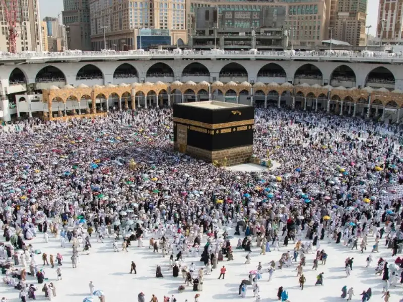 مكافحة الأوبئة والدولية للهجرة يطلقان حملة