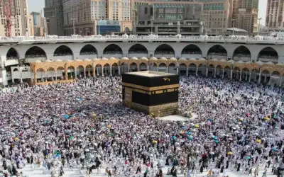 مكافحة الأوبئة والدولية للهجرة يطلقان حملة