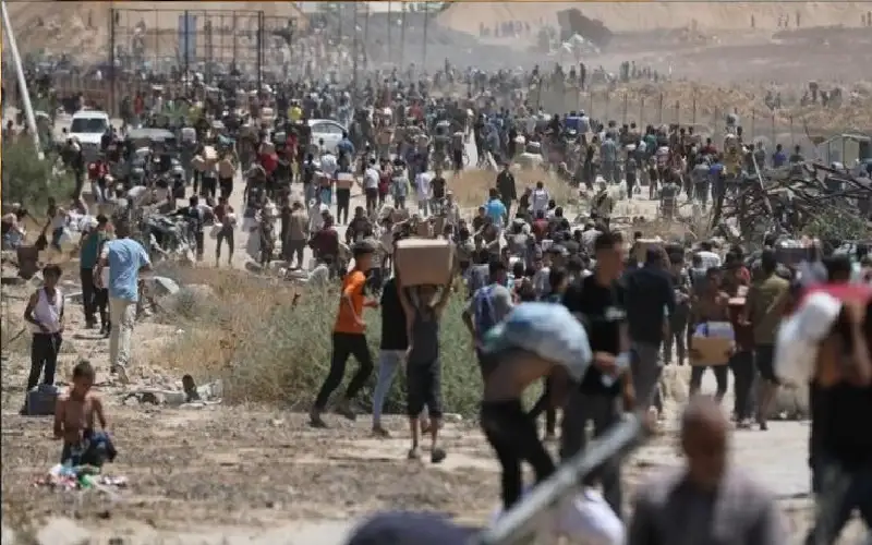 المكتب الإعلامي الحكومي بغزة: مؤسسة غزة