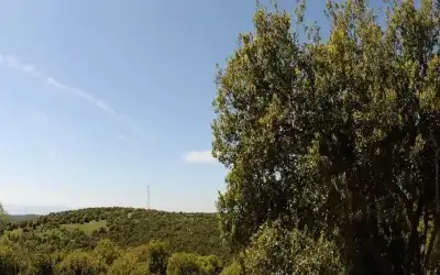 9500 زائر لمحمية غابات عجلون خلال