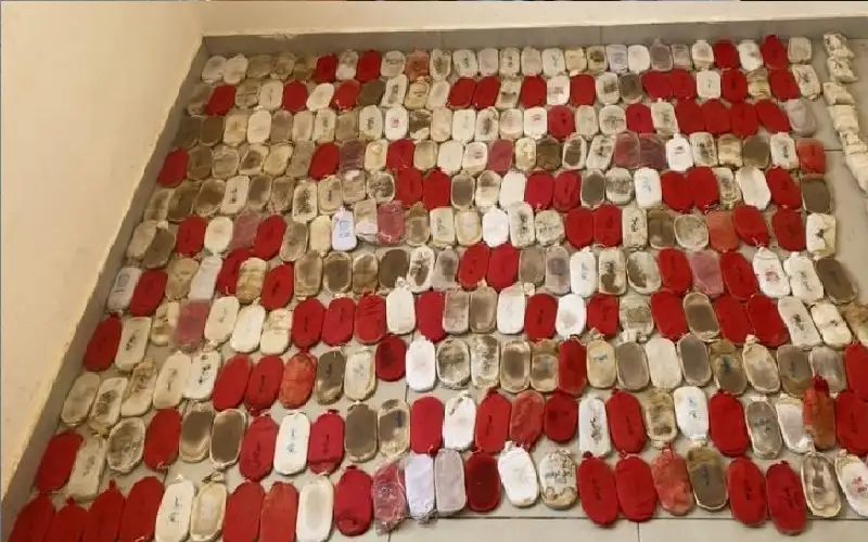 إحباط محاولة تسلل وتهريب مخدرات من