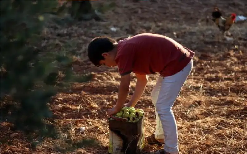 إنقاذ الطفل: أطفال بعمر 6 سنوات