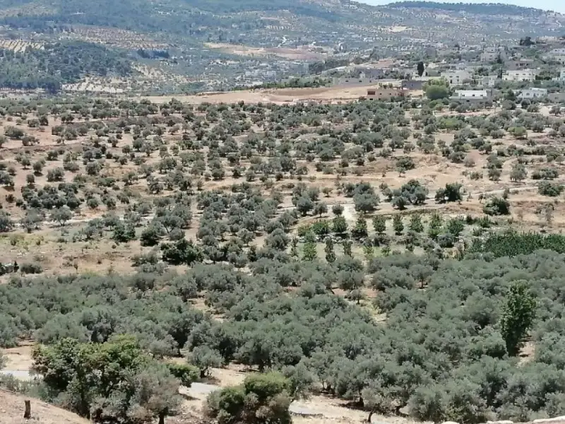 وزارة المياه تخاطب الجهات المعنية لإيقاف