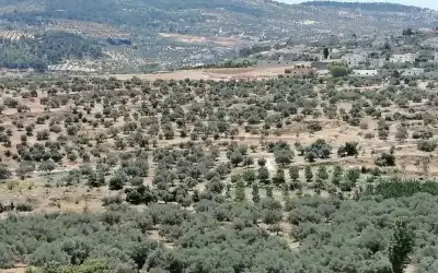 وزارة المياه تخاطب الجهات المعنية لإيقاف