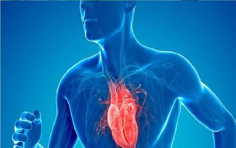 الرياضة في هذا الوقت من اليوم