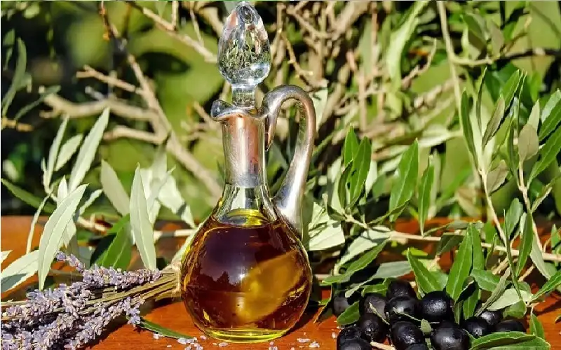 رغم فوائده.. الإفراط في زيت الزيتون