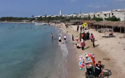 وزير سوري: لم نحظر أي نوع
