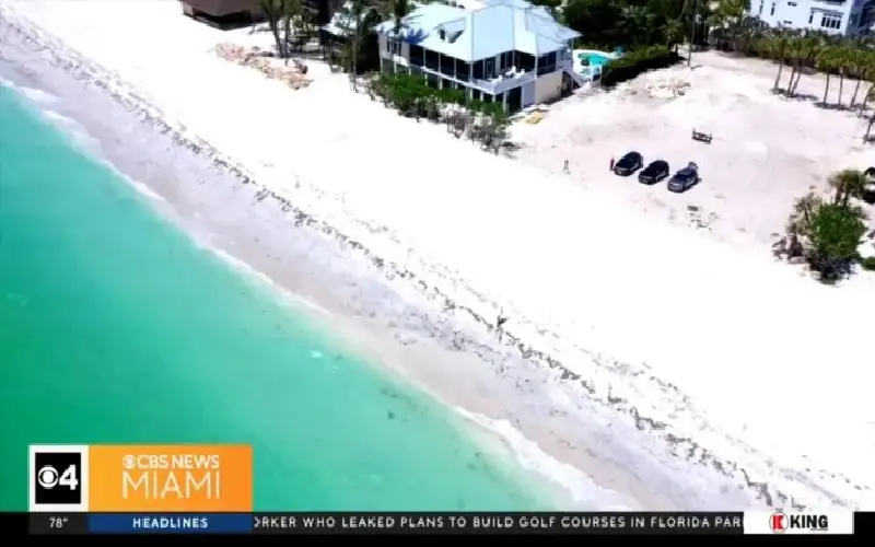 مأساة على شاطئ أمريكي.. قرش يمزق