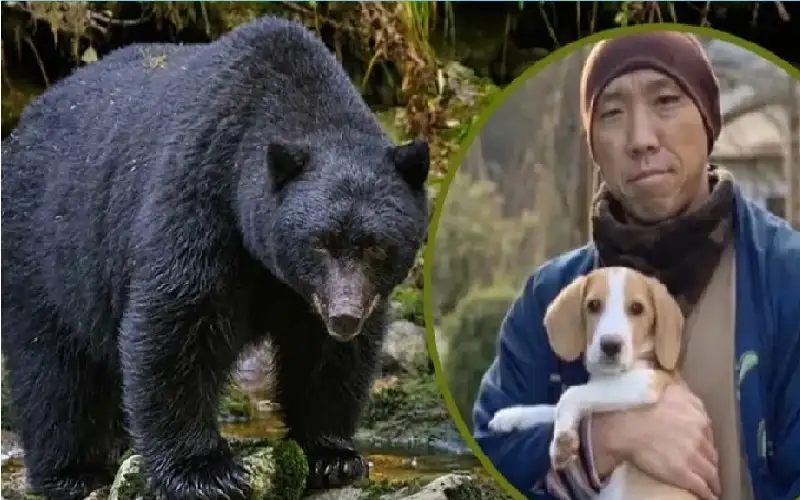 كلب بطل ينقذ صاحبه من فك