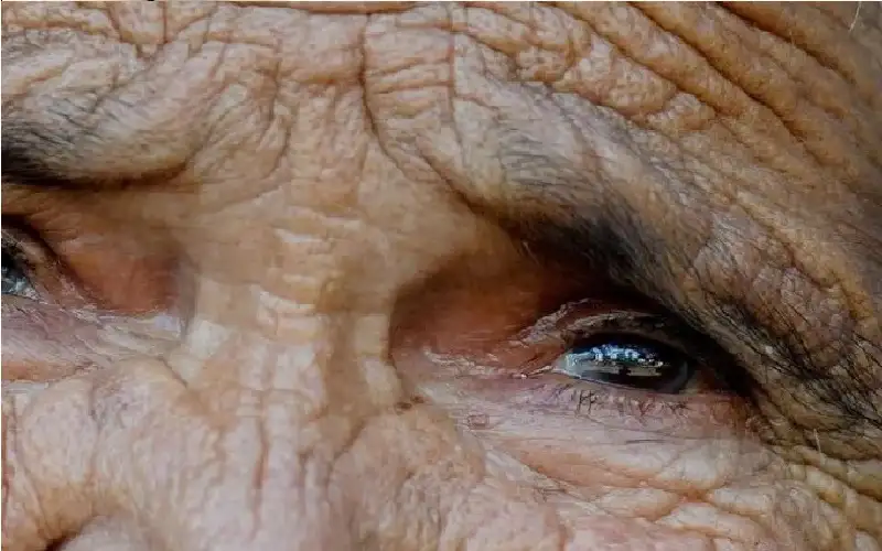 فحص دم يحدد بدقة متى تبدأ