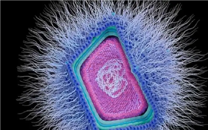 خطر كامن في أعماق المحيط.. دراسة