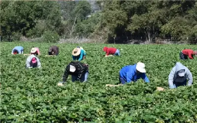 صناعة الأردن: الصناعة الغذائية الأردنية تتمتع