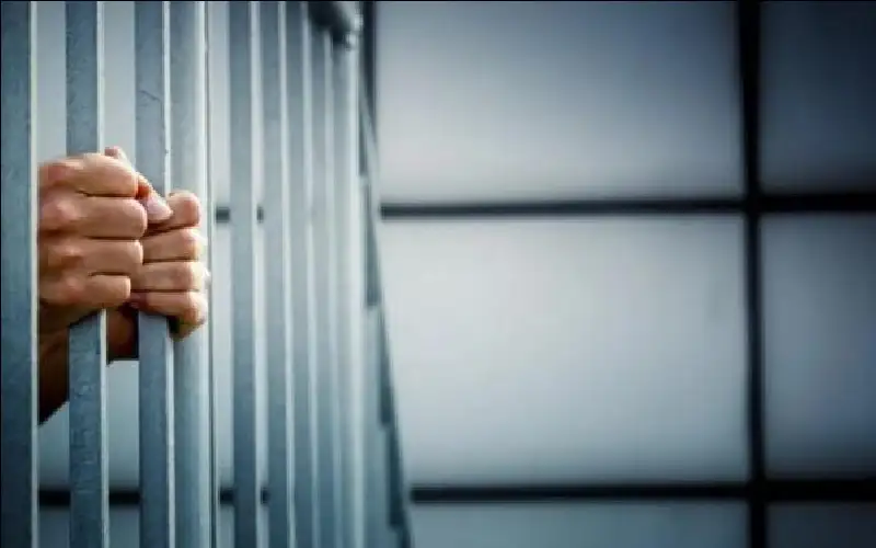 دائرة التنفيذ: إصدار كف الطلب والإفراج