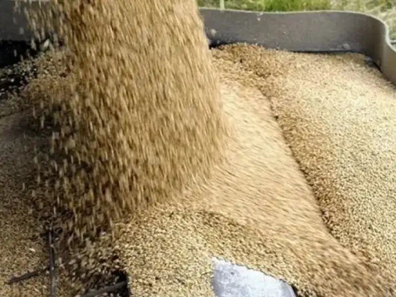 إعادة طرح عطاء تأهيل مركز أعلاف