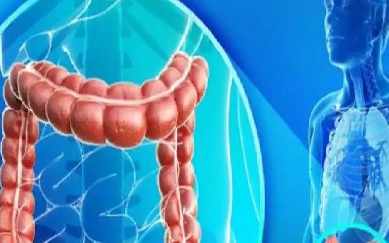 طبيب بريطاني يكشف ثلاثية غذائية تقي