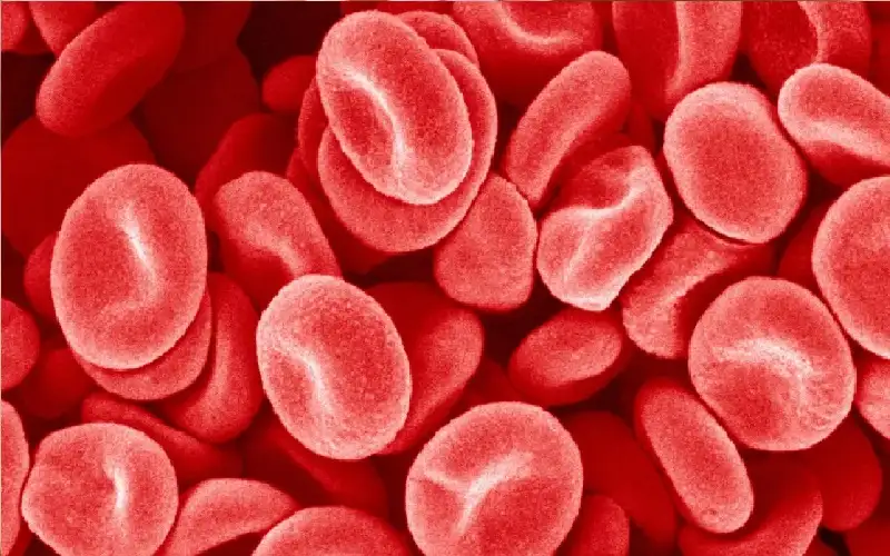 اكتشاف فصيلة دم لا مثيل لها