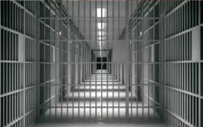 إصدار 56 ألف كف طلب في