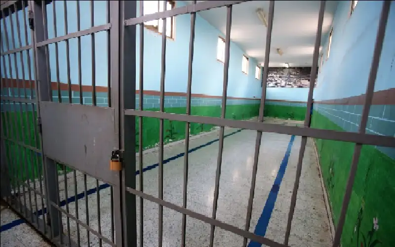 مصدر قضائي: إصدار 537 مذكرة إفراج