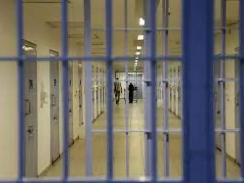 مصدر قضائي: إصدار 537 مذكرة إفراج