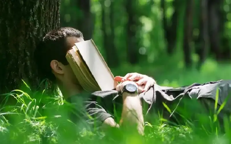 وجدتها.. النوم العميق يساعد على حل